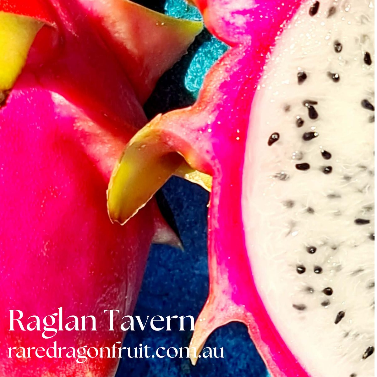 Raglan Tavern dragon fruit-  NOID