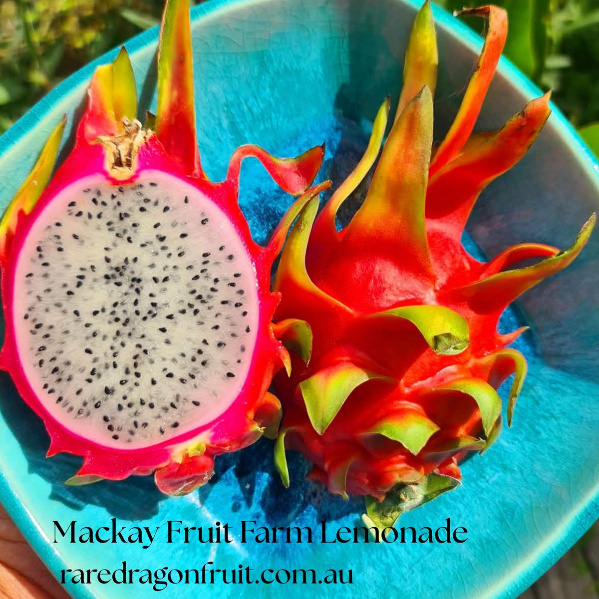 XL Mackay Fruit Farm Lemonade