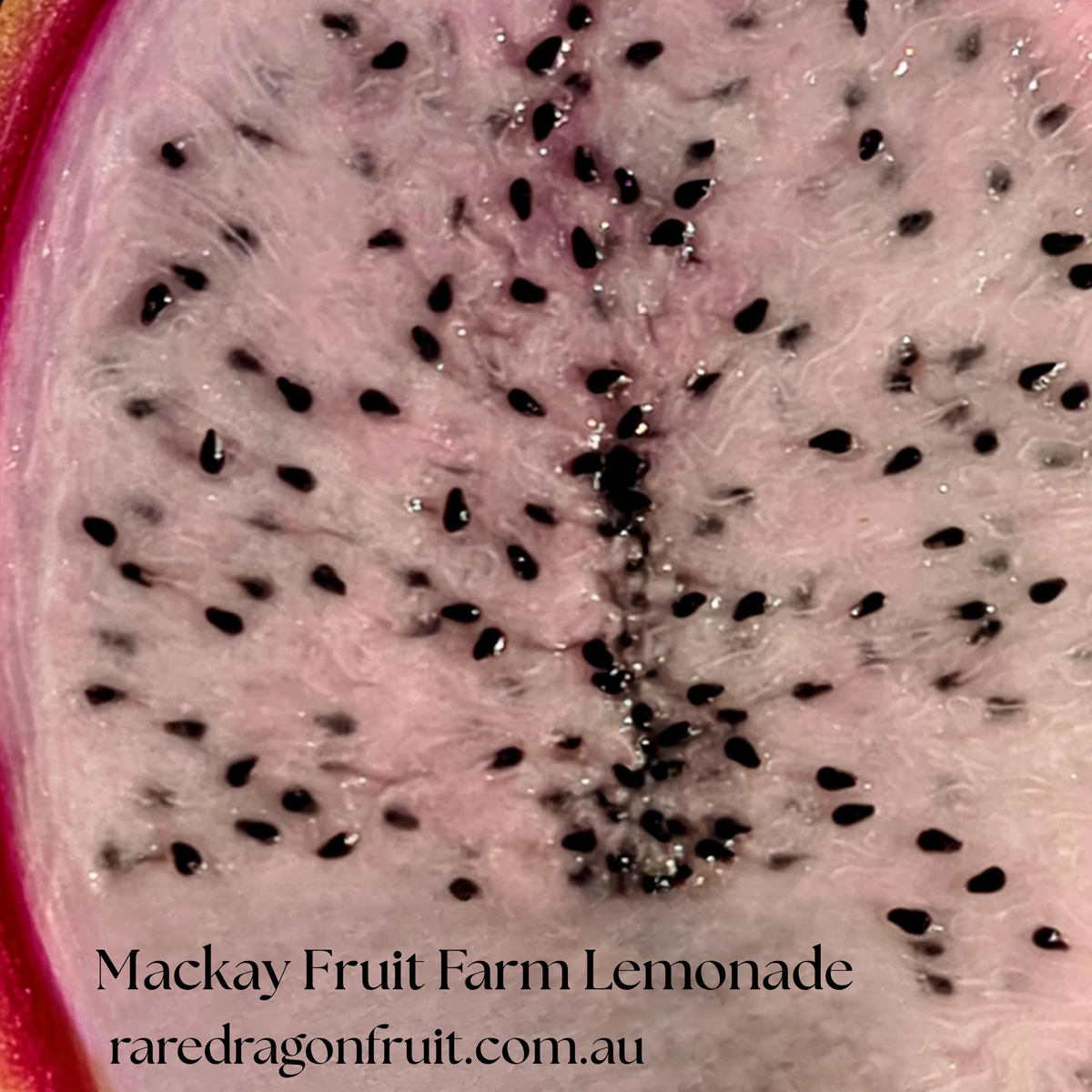 XL Mackay Fruit Farm Lemonade
