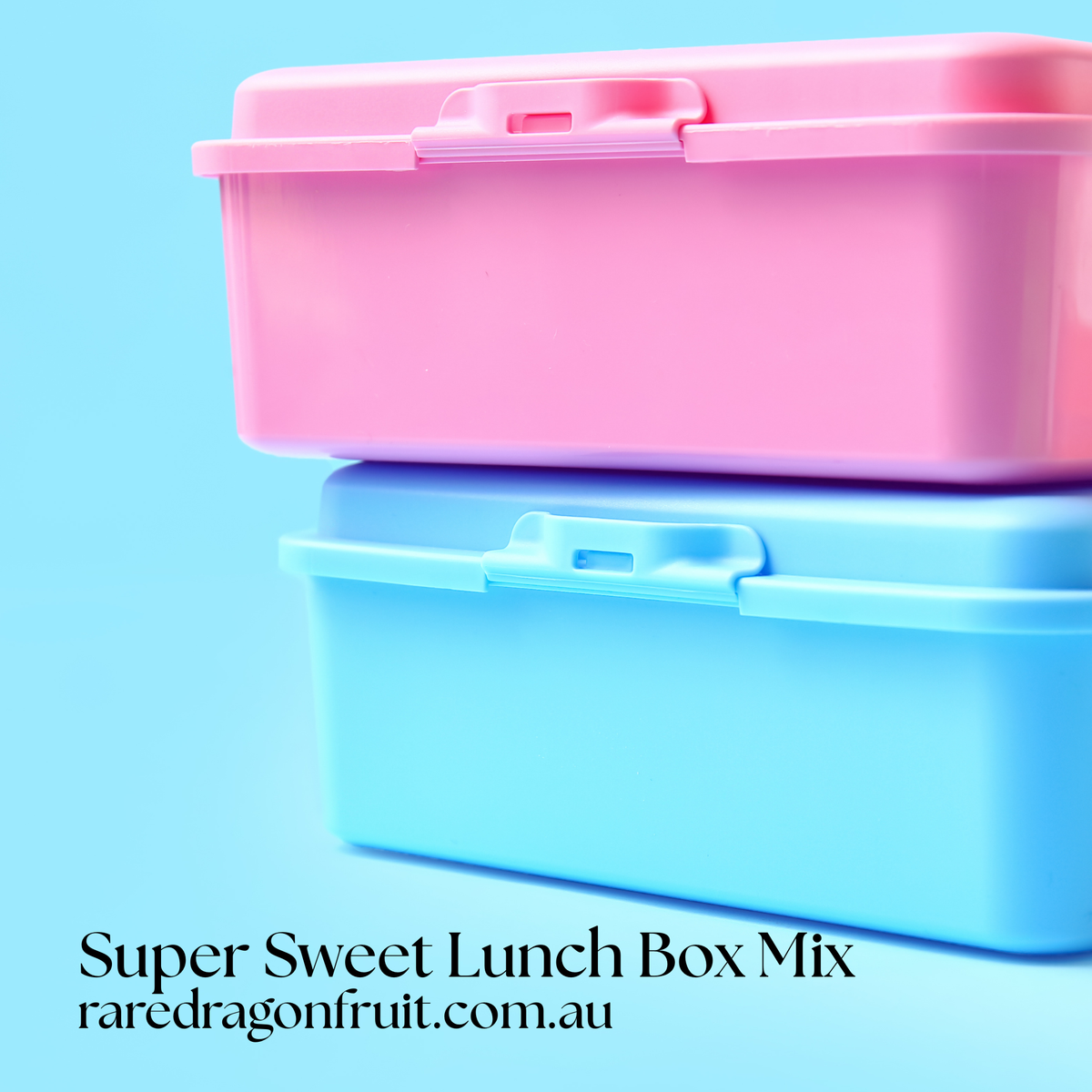 Super Sweet Lunch Box Dragon Fruit Mix – Grow 4 of Our Favorites!