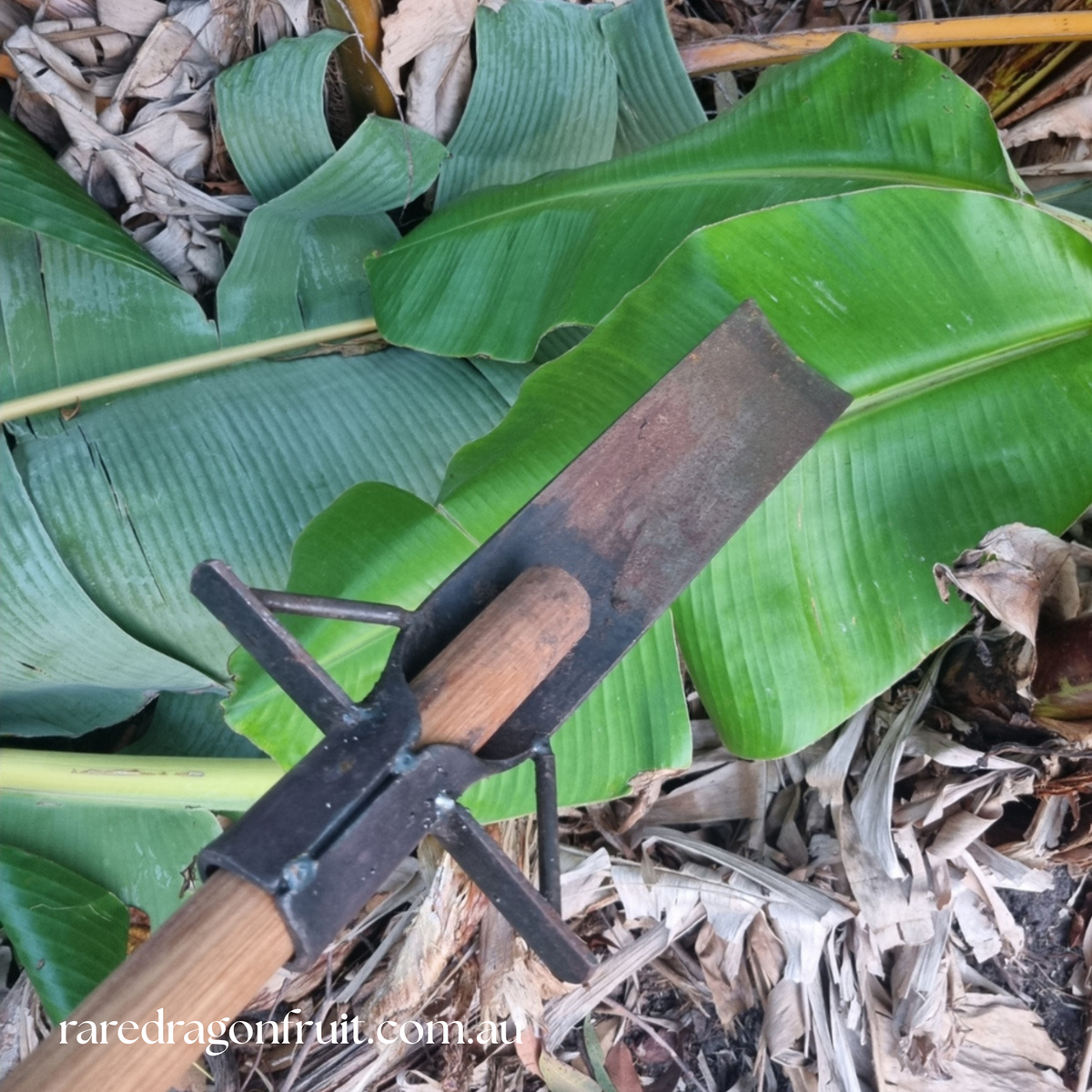 Banana Sucker Removal Shovel