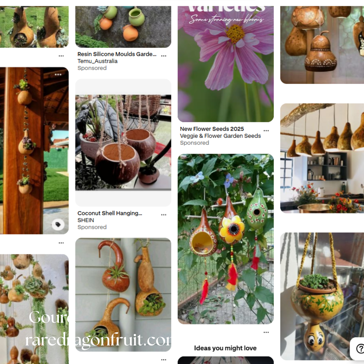 Bottle Gourd Seeds (Lauki / Doodhi / Calabash) | 10 Seeds