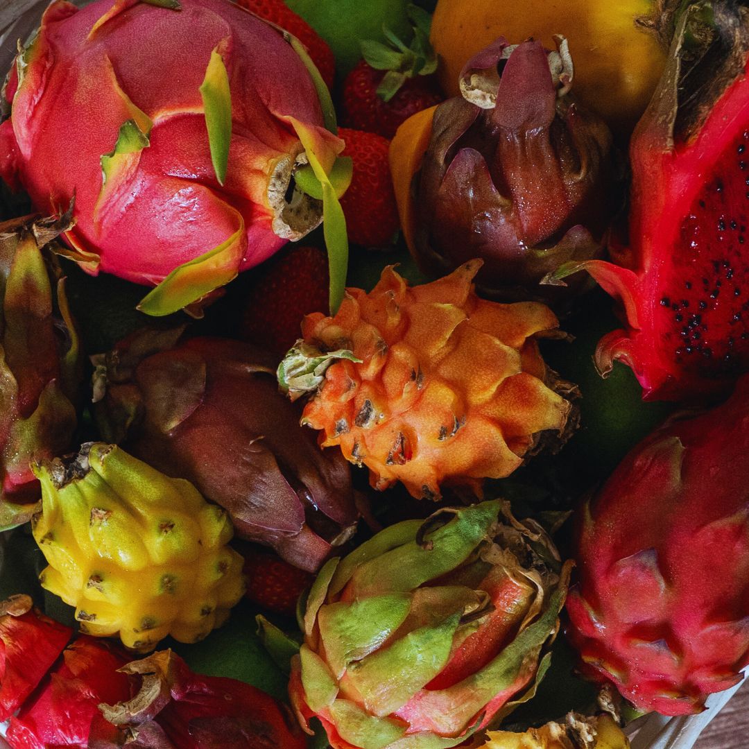 Dragon fruit Growing Workshop Northey Street City Farm 2026