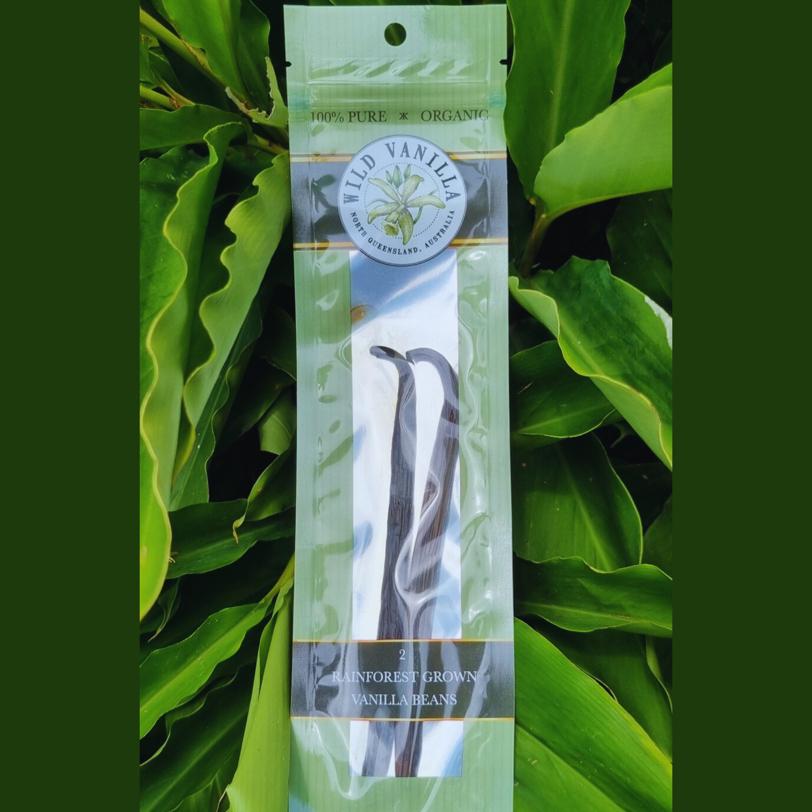 Wild Vanilla- Vanilla Beans - Rare Dragon Fruit