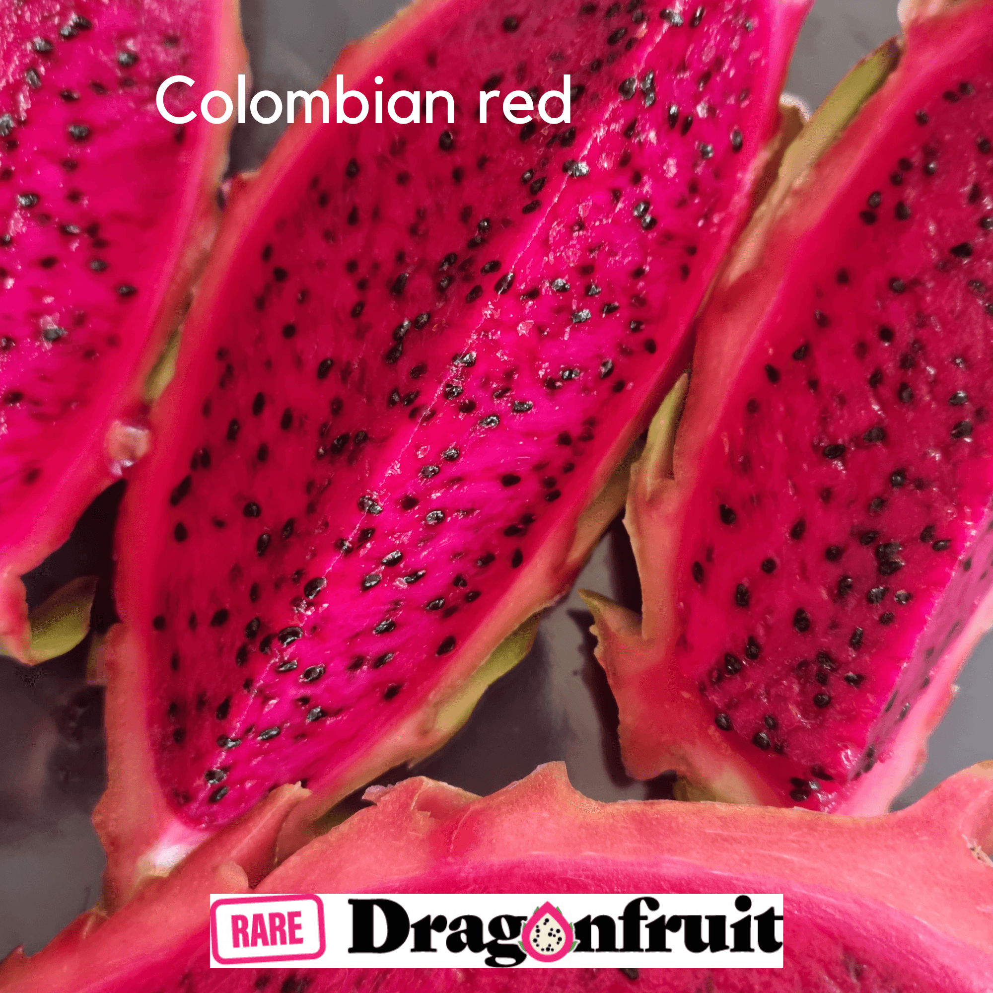 Columbian Red Dragon fruit - Rare Dragon Fruit