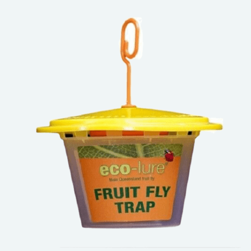 Fruit Fly Trap- Eco Male Fruit Fly Trap - Rare Dragon Fruit