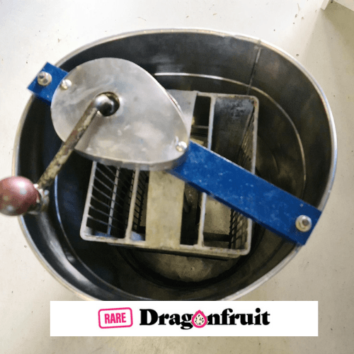 Honey Spinner - 2 Frame Honey Spinner - Rare Dragon Fruit