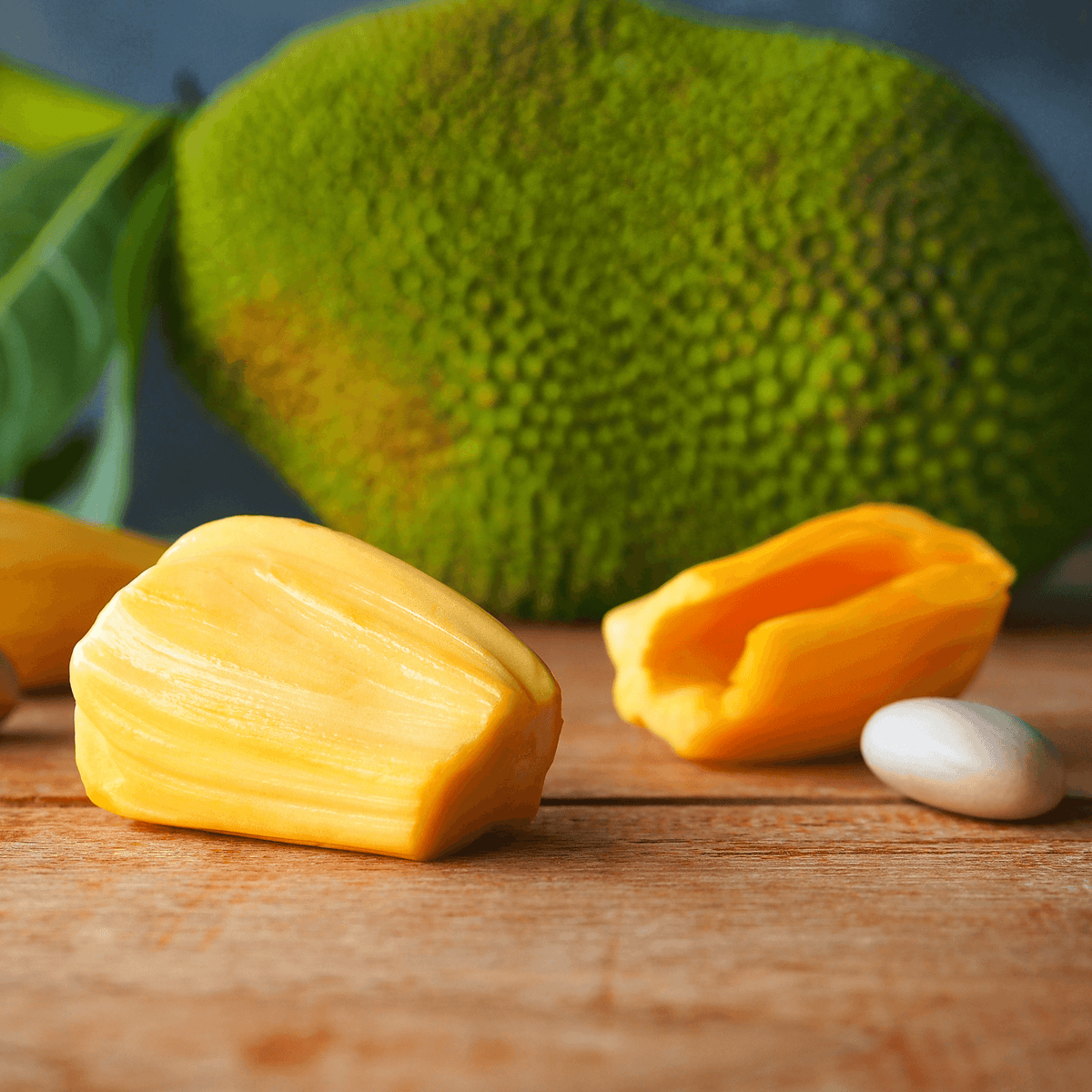 Jack Fruit- Artocarpus heterophyllus - Rare Dragon Fruit