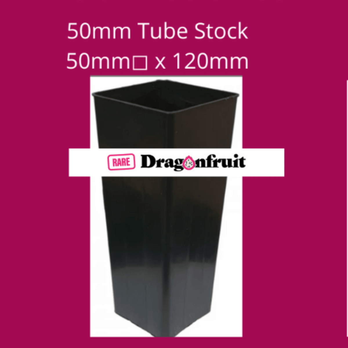 Jack Fruit- Artocarpus heterophyllus - Rare Dragon Fruit