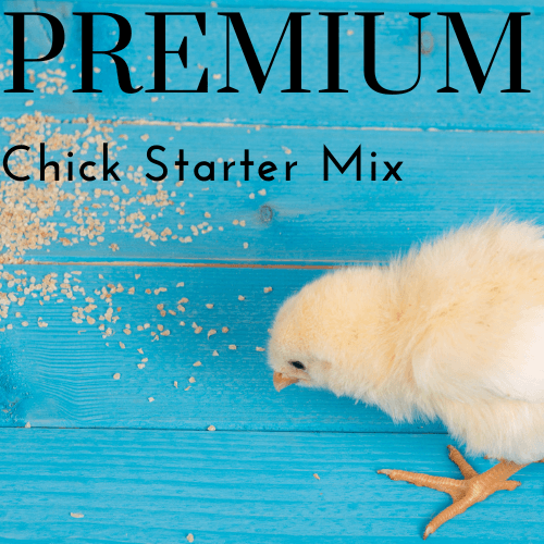 Premium chick raising mix 1kg - Rare Dragon Fruit