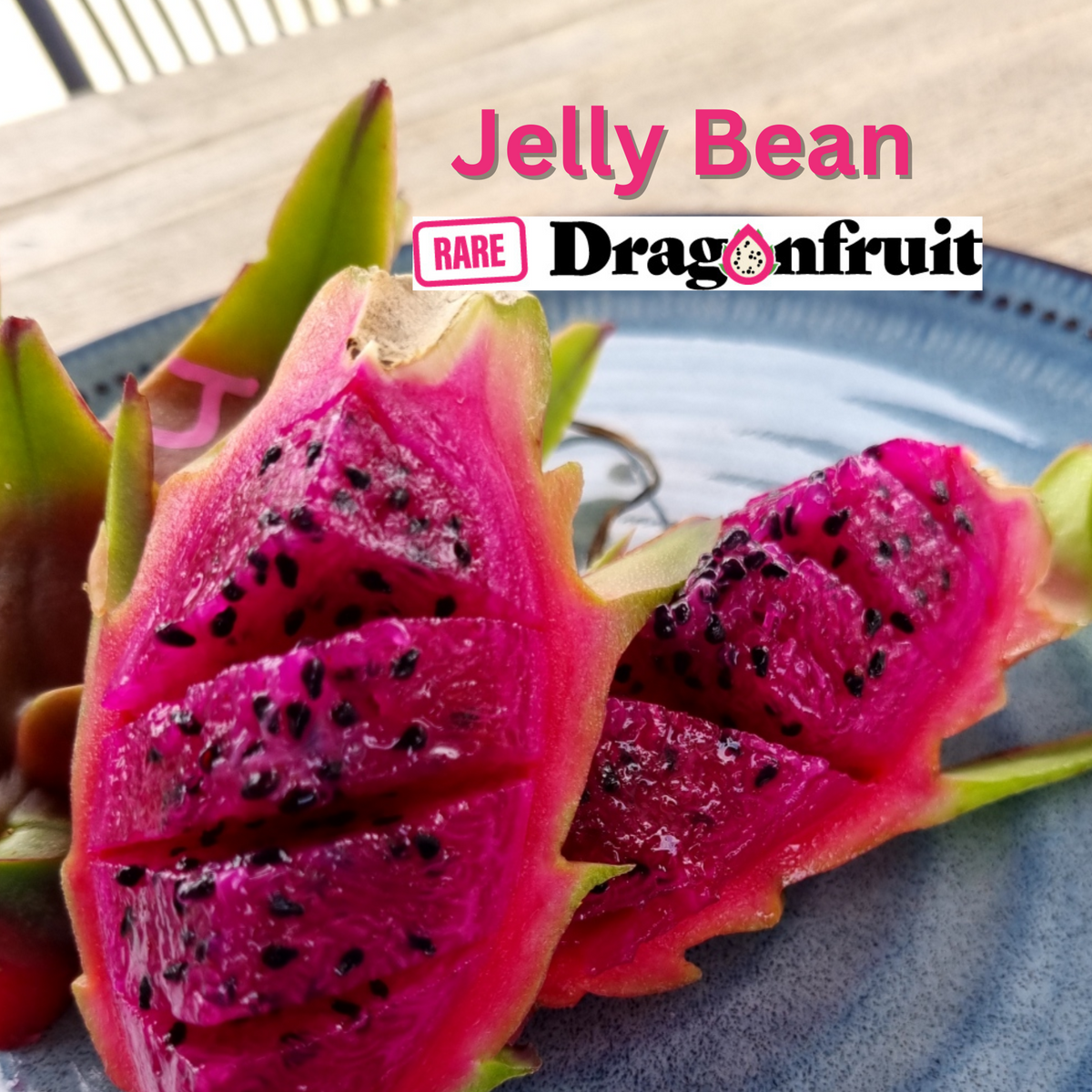 Jelly Bean Dragon Fruit