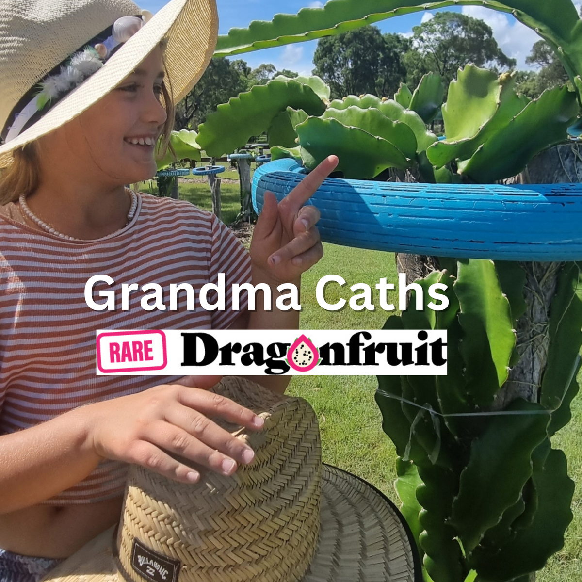 Grandma Cath&#39;s Dragon Fruit NOID - Rare Dragon Fruit