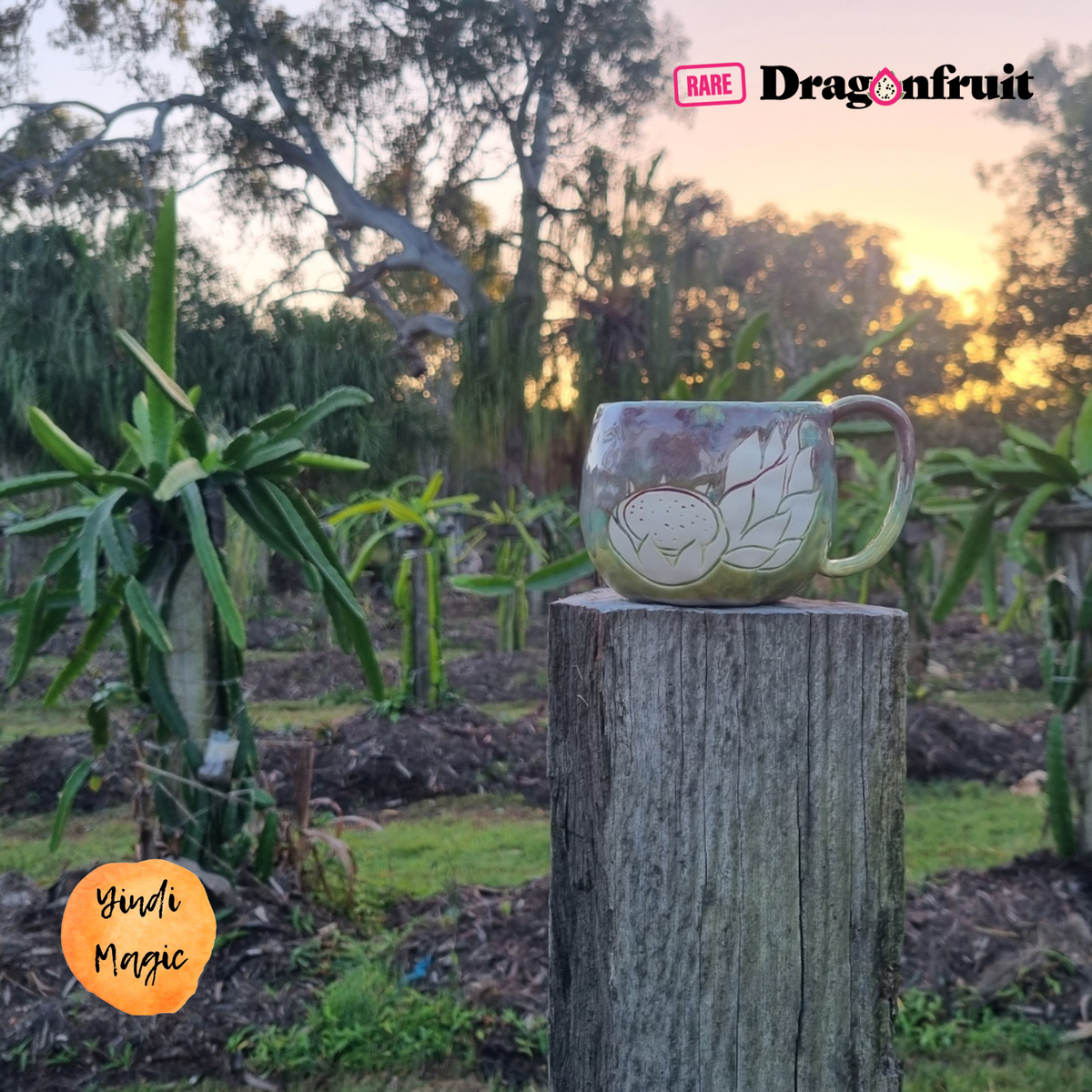 Yindi Magic Ceramic Mug – Dragon Fruit Design