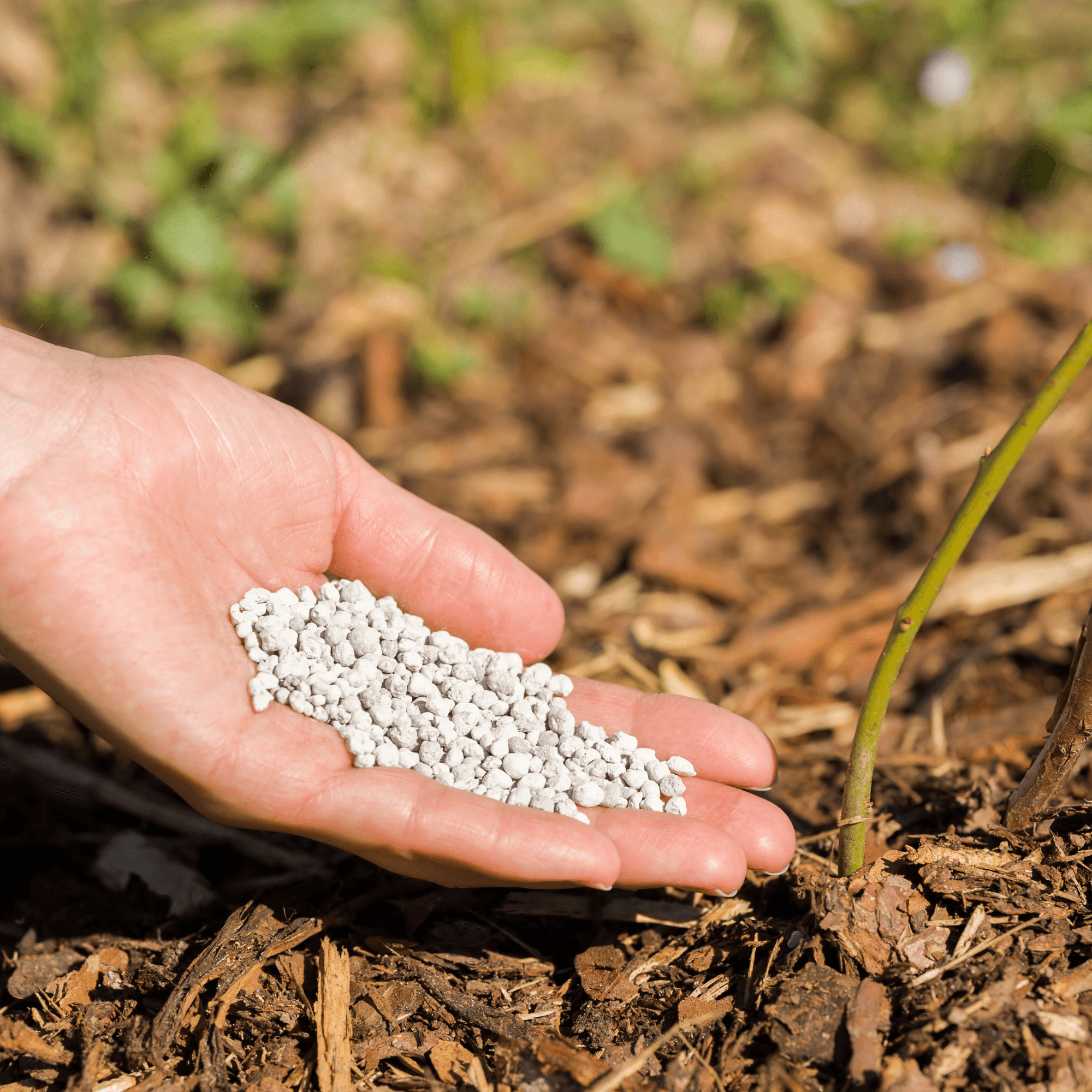 Soil fertiliser discount