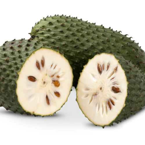 Soursop - GUANABANA MURICATA - Rare Dragon Fruit