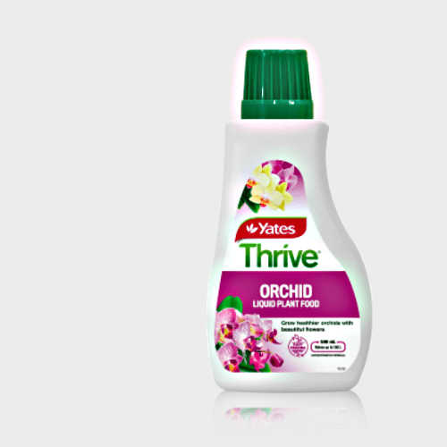 Yates Thrive Orchid Liquid Plant Food 500ml - Rare Dragon Fruit